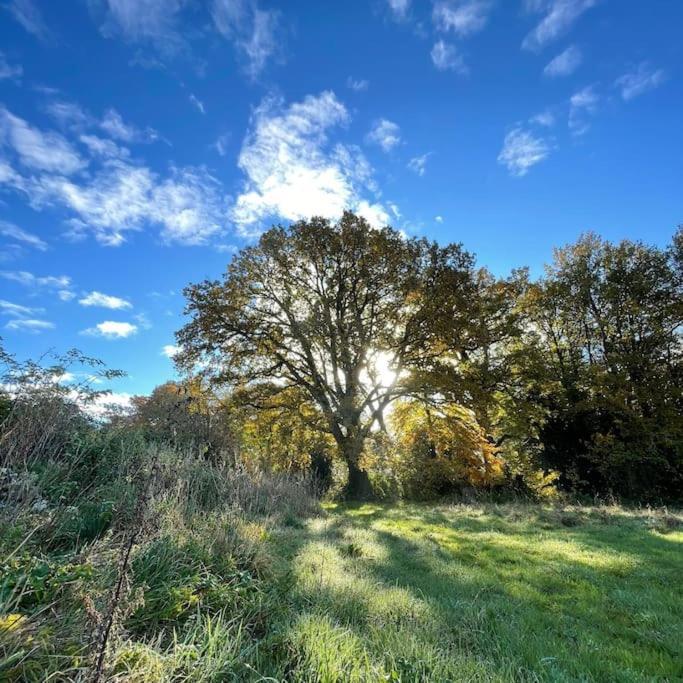 Superbe Maison De Campagne A Deux Pas De Nantes Treillières Dış mekan fotoğraf
