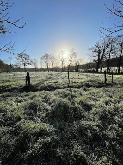 Superbe Maison De Campagne A Deux Pas De Nantes Treillières Dış mekan fotoğraf